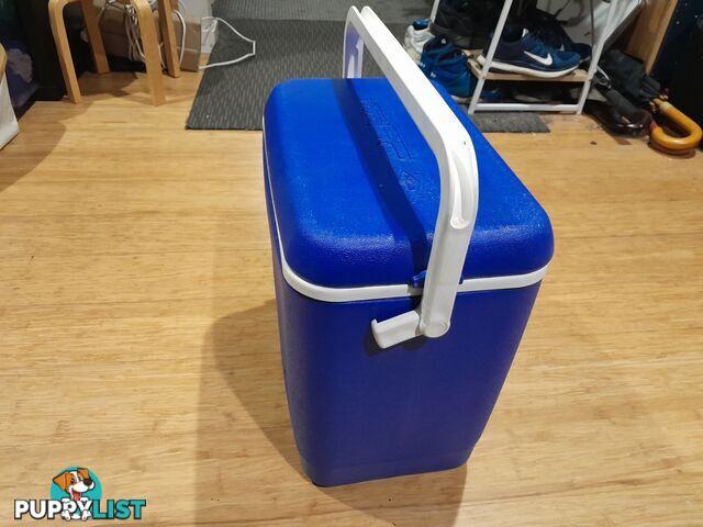 WILLOW MEDIUM COOLER ESKY 25L CHILLI BIN BBQ COOLER DRINKS BOX ICE CHEST MALVERN EAST MELBOURNE