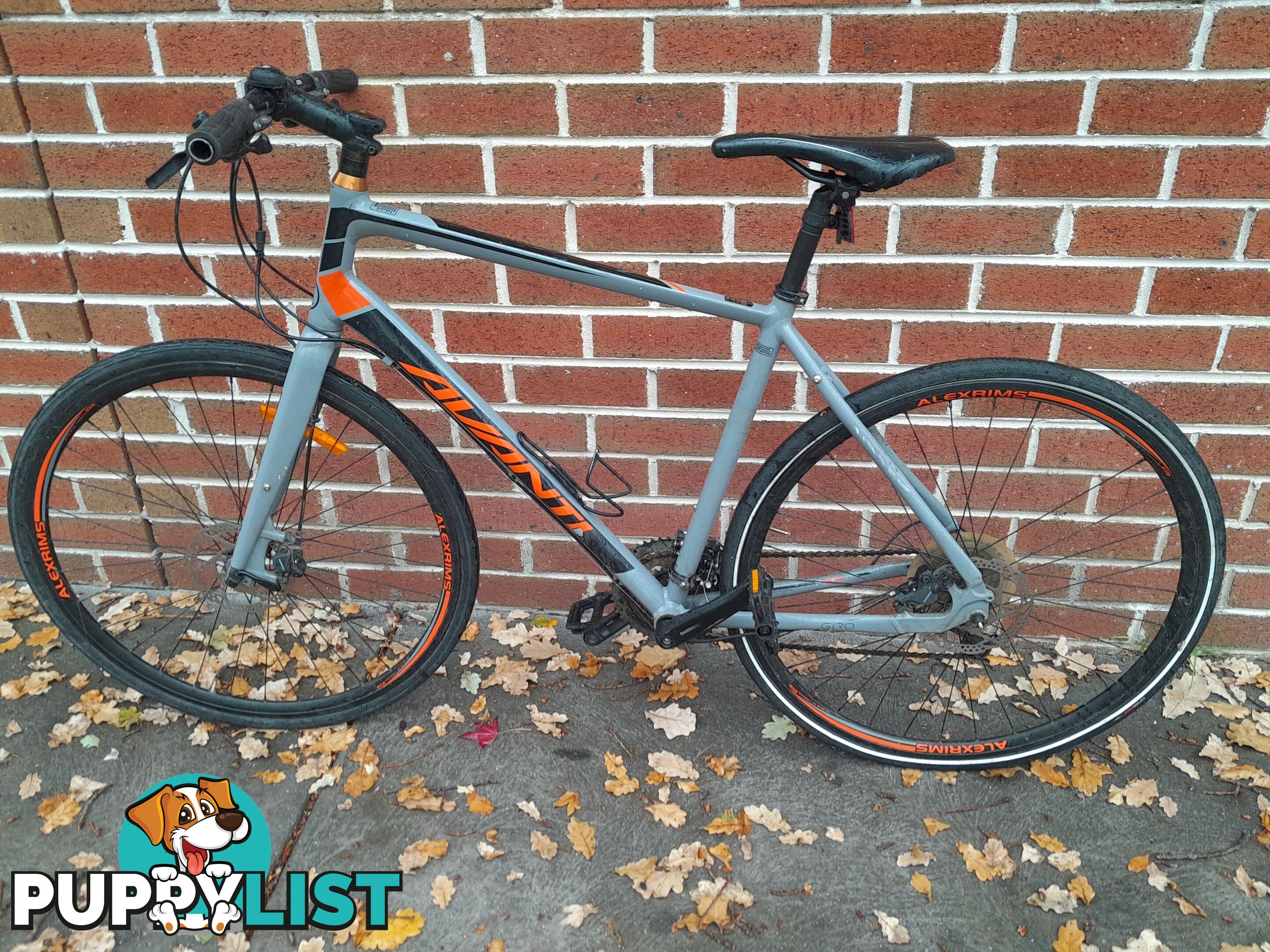 AVANTI GIRO F3 ROAD BIKE 27 SPEED LARGE ALLOY FRAME BICYCLE MALVERN EAST MELBOURNE