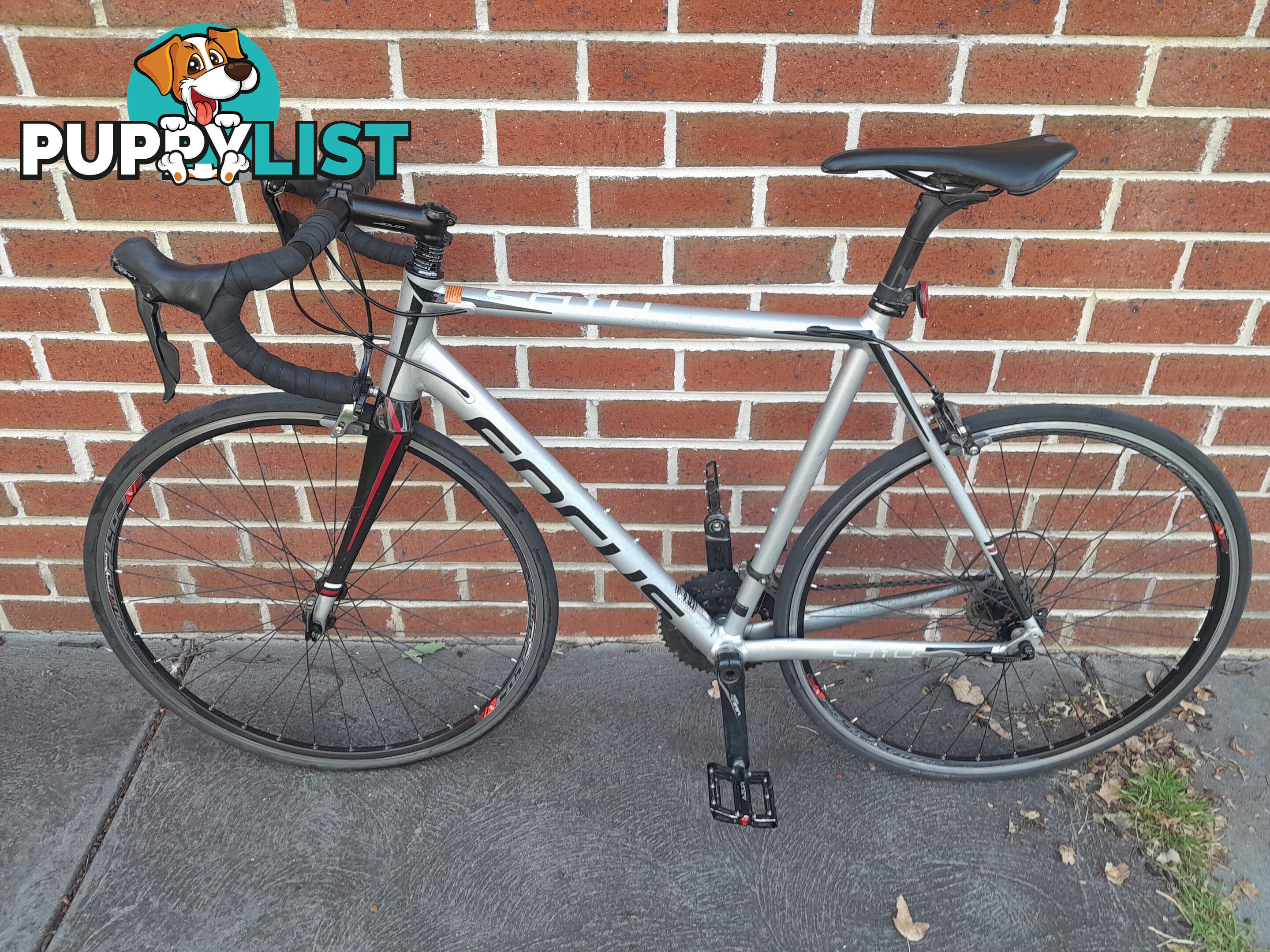 FOCUS CAYO AL SORA ROAD BIKE 700C TYRES LARGE FRAME BICYCLE MALVERN EAST MELBOURNE