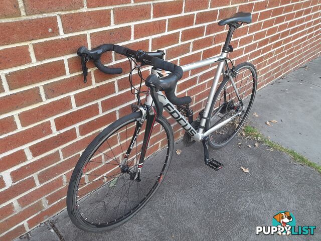 FOCUS CAYO AL SORA ROAD BIKE 700C TYRES LARGE FRAME BICYCLE MALVERN EAST MELBOURNE