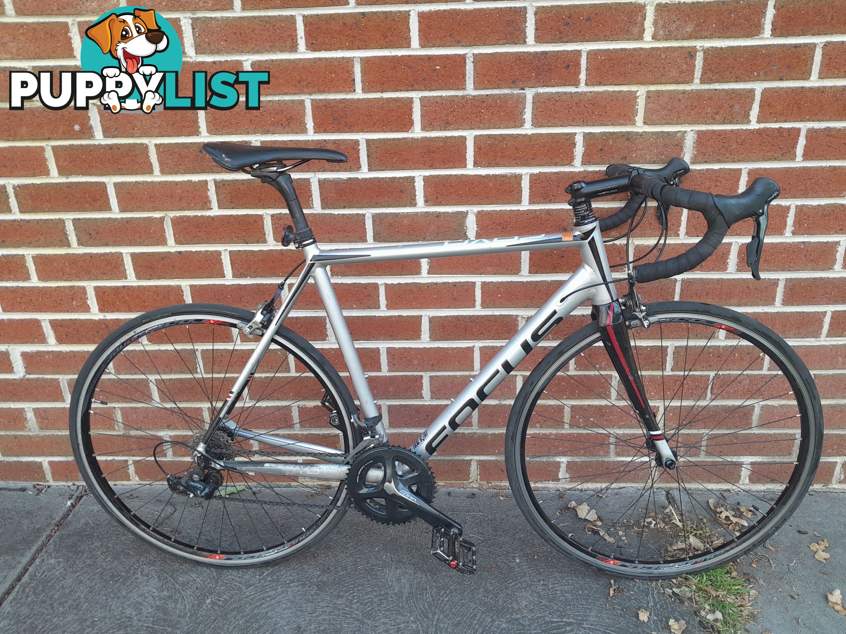 FOCUS CAYO AL SORA ROAD BIKE 700C TYRES LARGE FRAME BICYCLE MALVERN EAST MELBOURNE