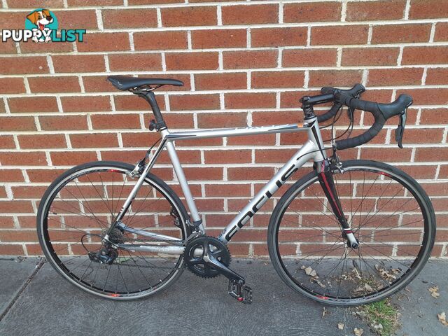 FOCUS CAYO AL SORA ROAD BIKE 700C TYRES LARGE FRAME BICYCLE MALVERN EAST MELBOURNE