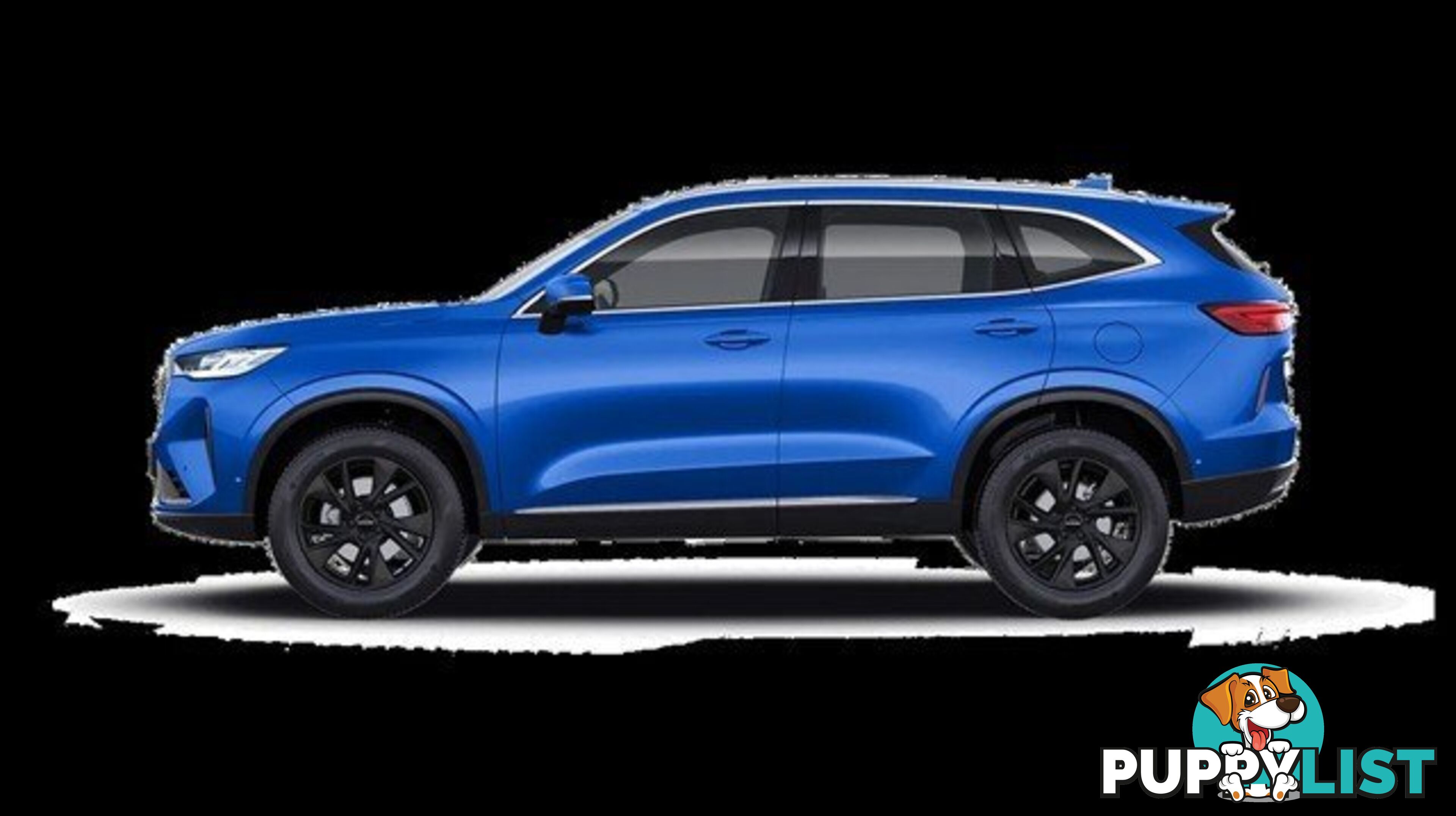 2024 GWM HAVAL H6 VANTA B01 SUV