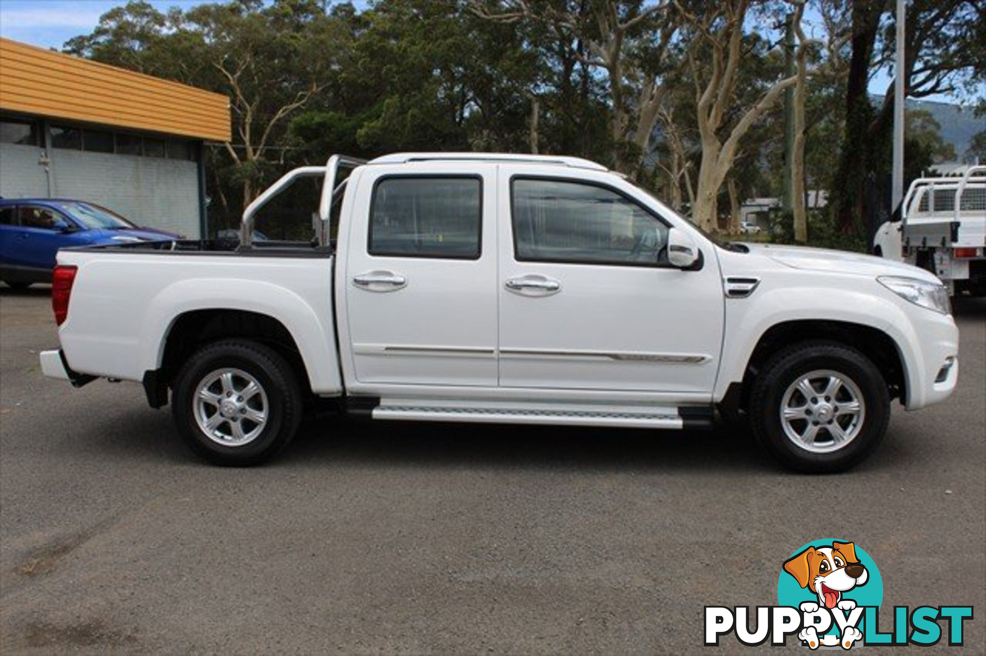 2019 GREAT WALL STEED  NBP UTILITY - DUAL CAB