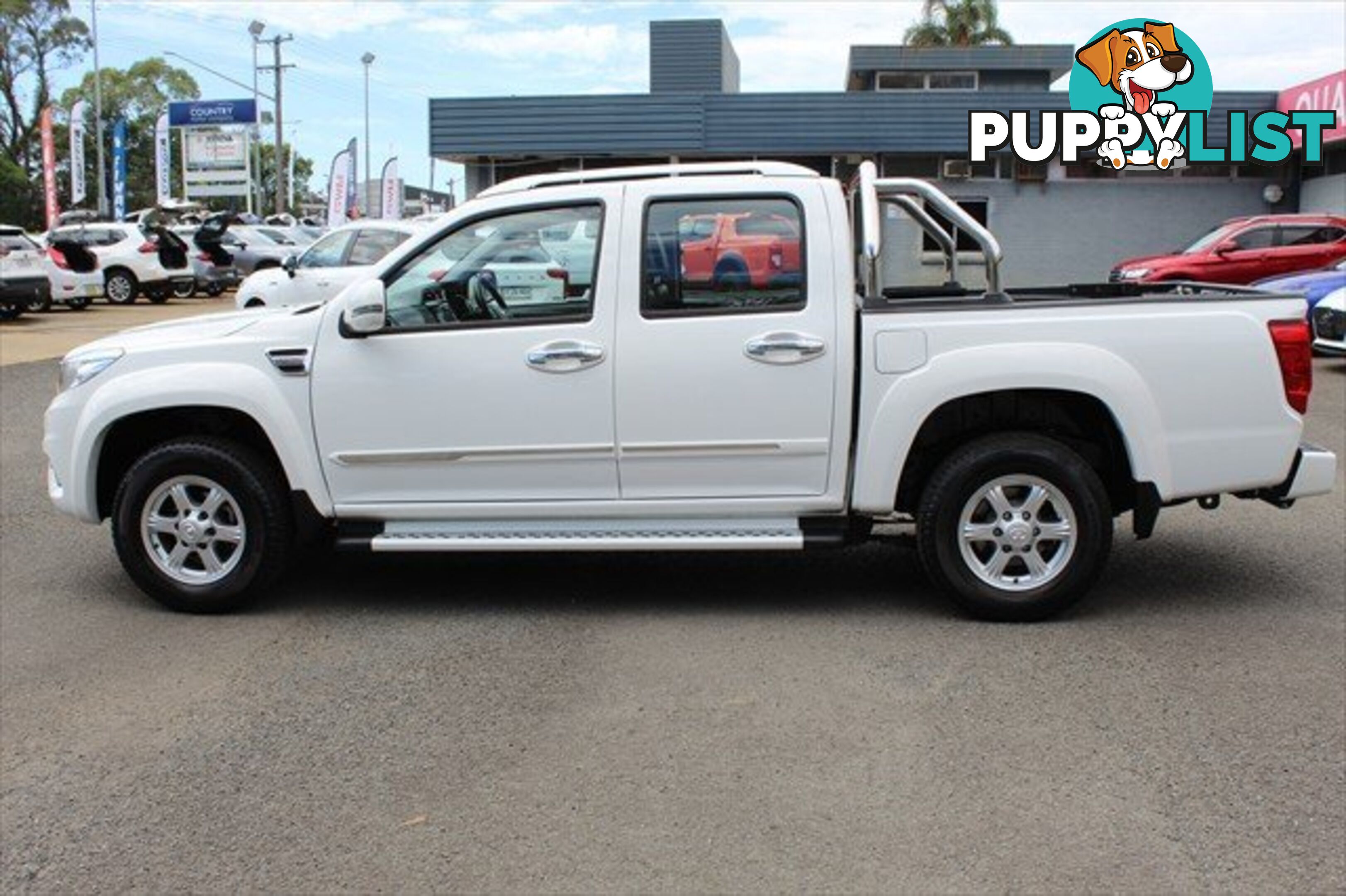 2019 GREAT WALL STEED  NBP UTILITY - DUAL CAB