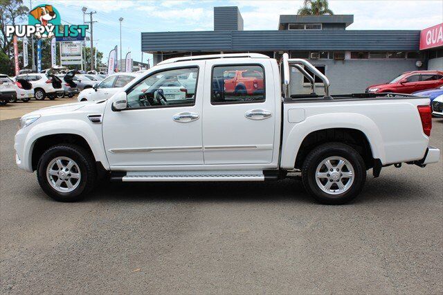 2019 GREAT WALL STEED  NBP UTILITY - DUAL CAB