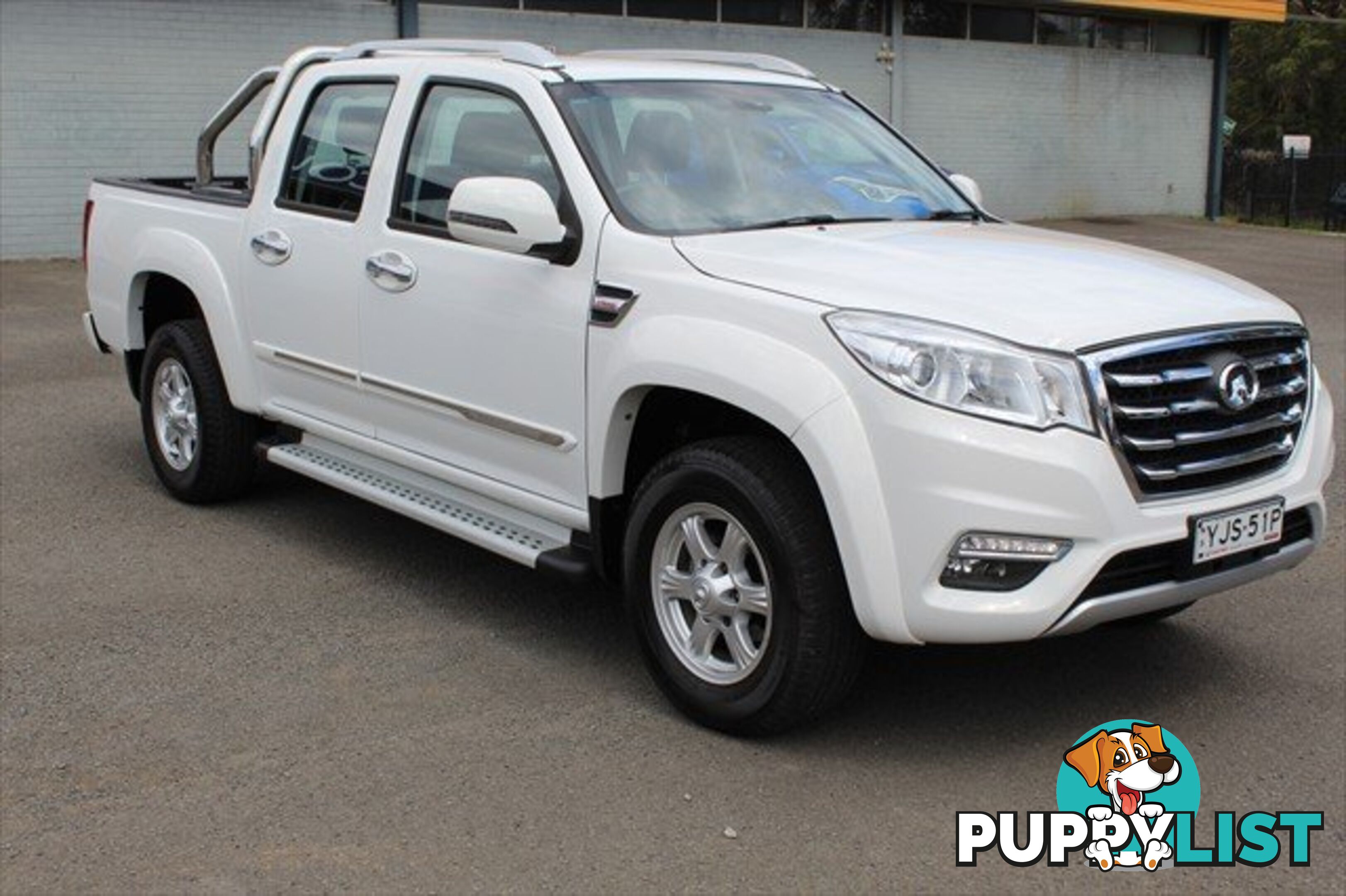 2019 GREAT WALL STEED  NBP UTILITY - DUAL CAB