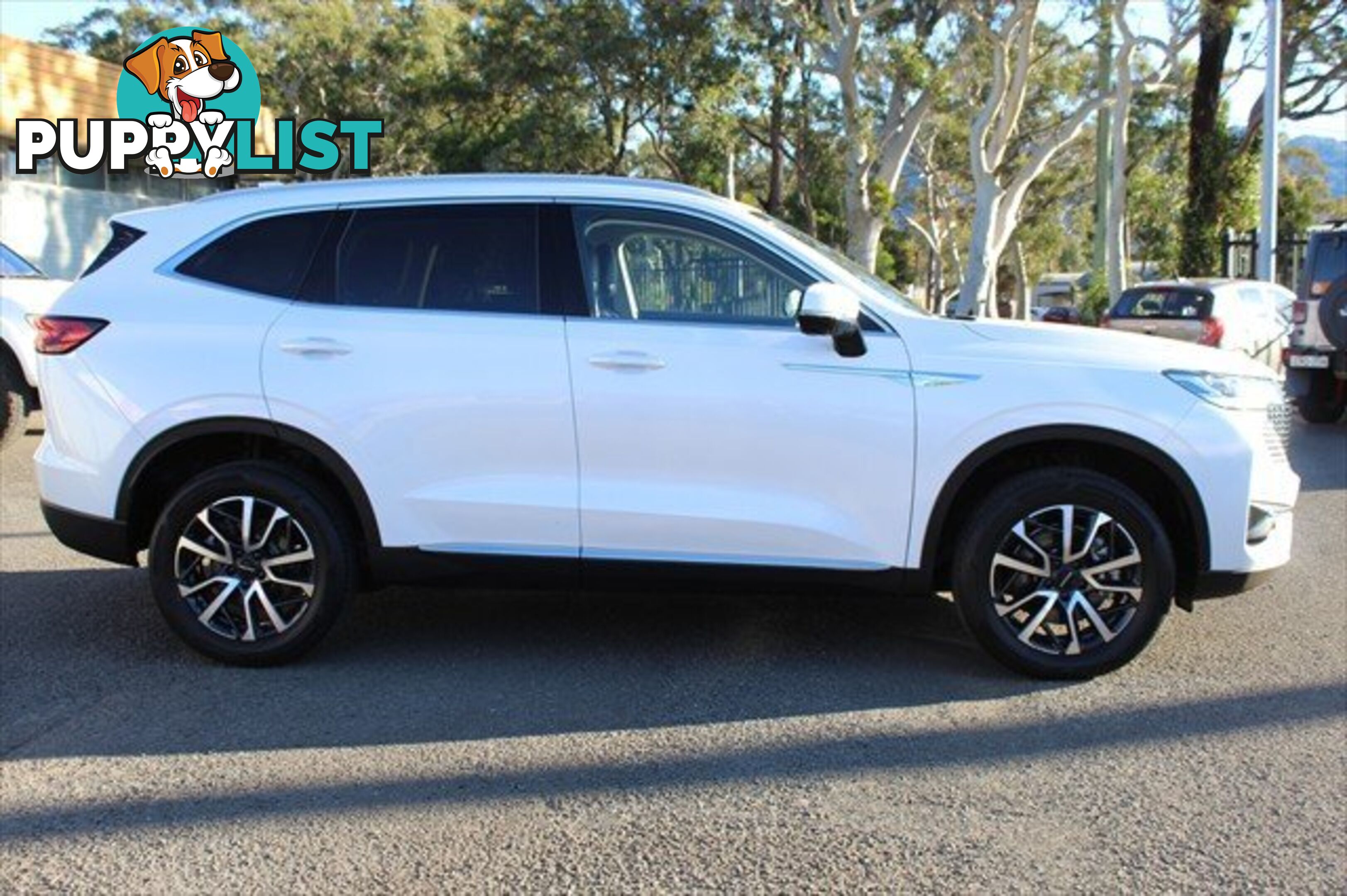 2022 GWM HAVAL H6 LUX HYBRID B01 SUV