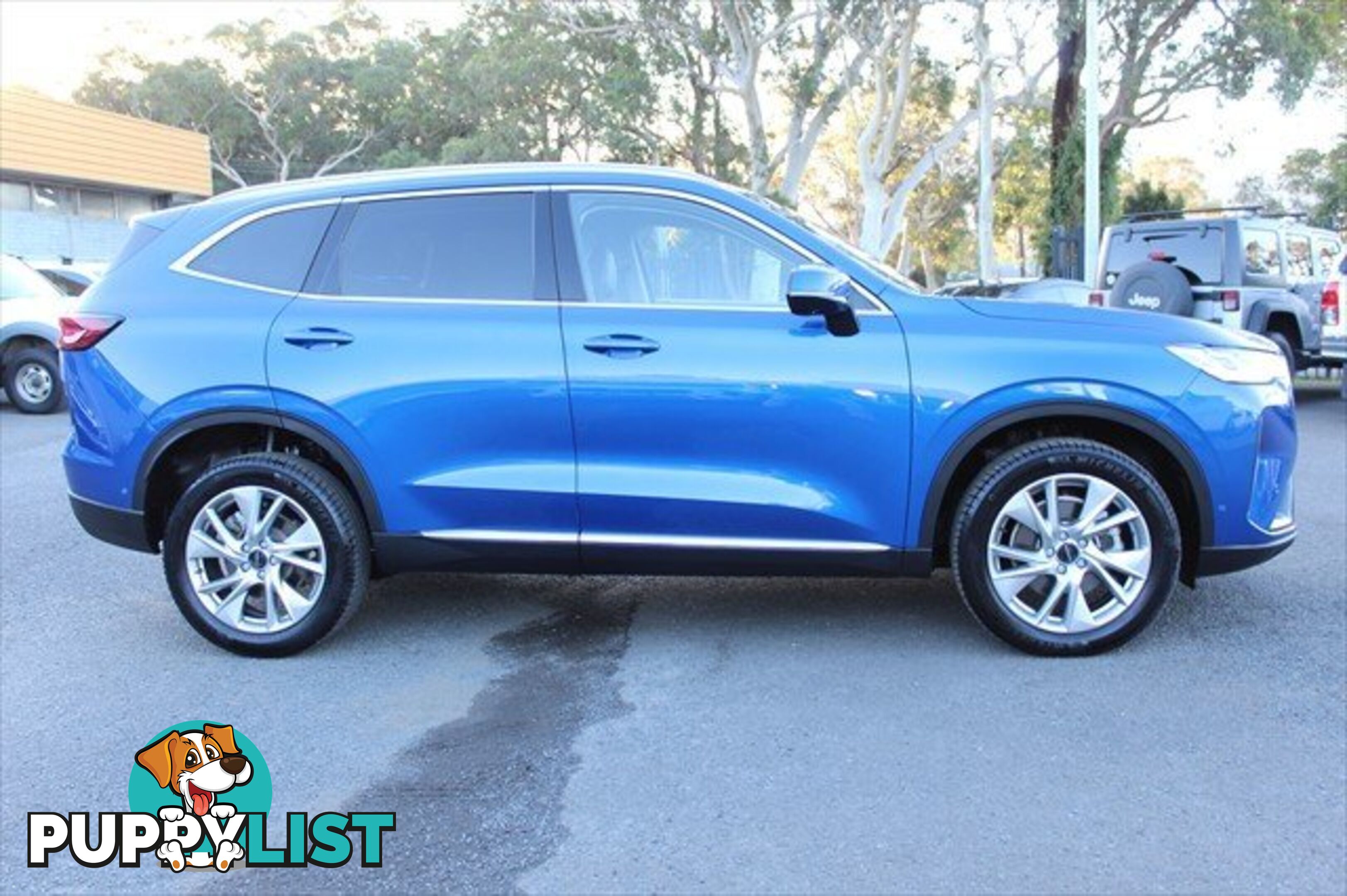 2021 HAVAL H6 ULTRA B01 FOUR WHEEL DRIVE SUV