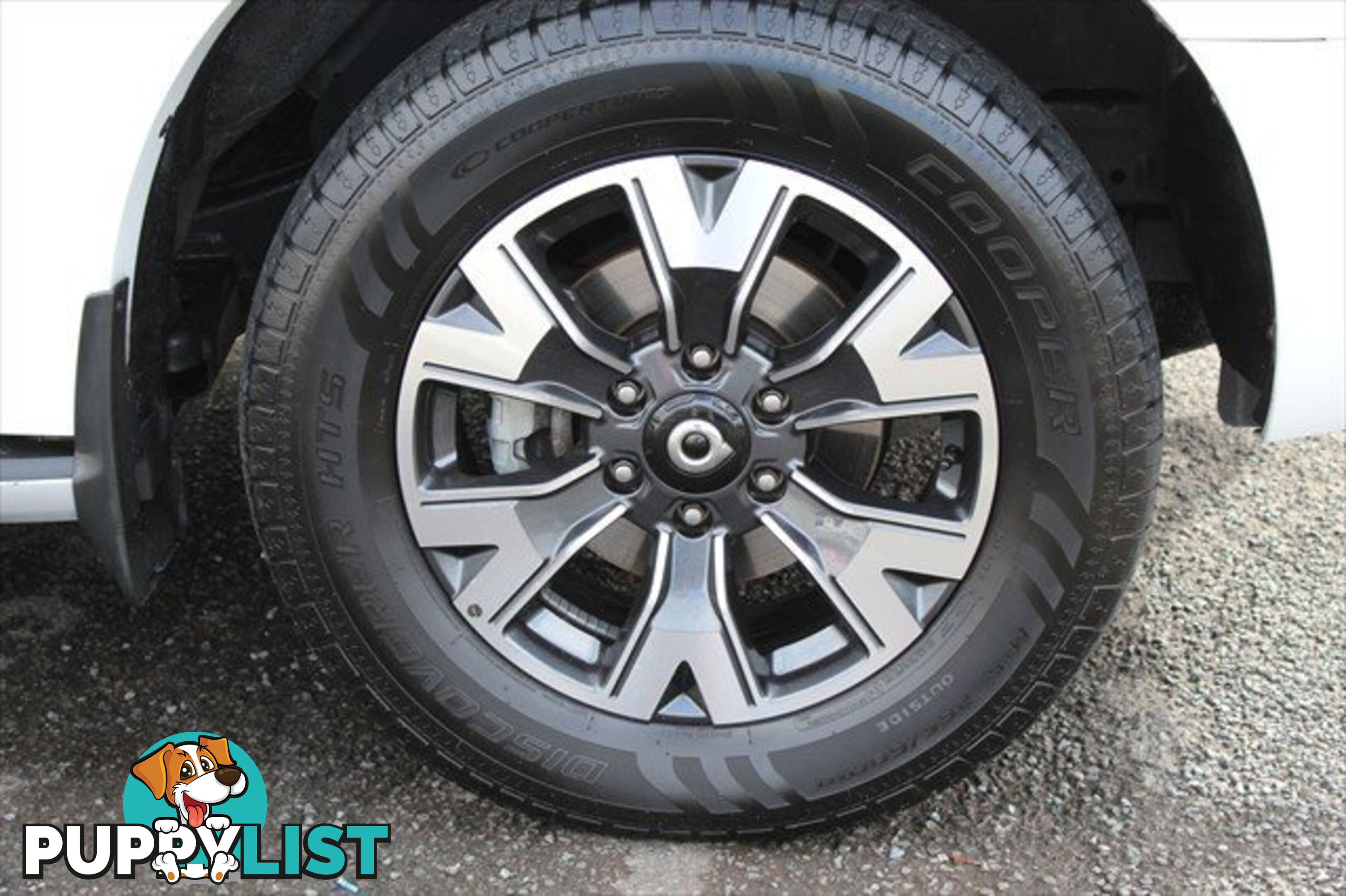 2021 GWM UTE CANNON-L NPW 4X4 UTILITY - DUAL CAB