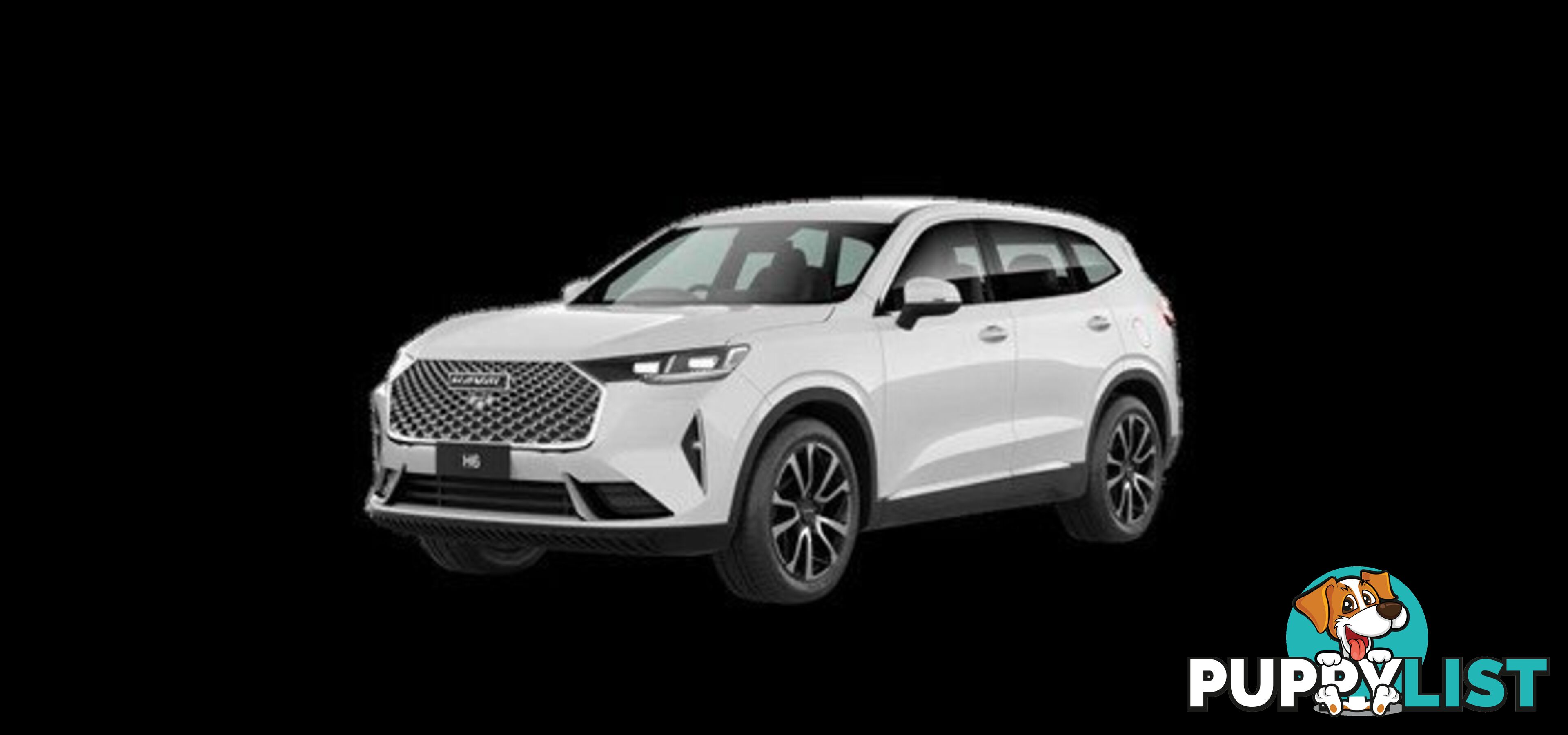 2025 GWM HAVAL H6 PREMIUM B01 SUV