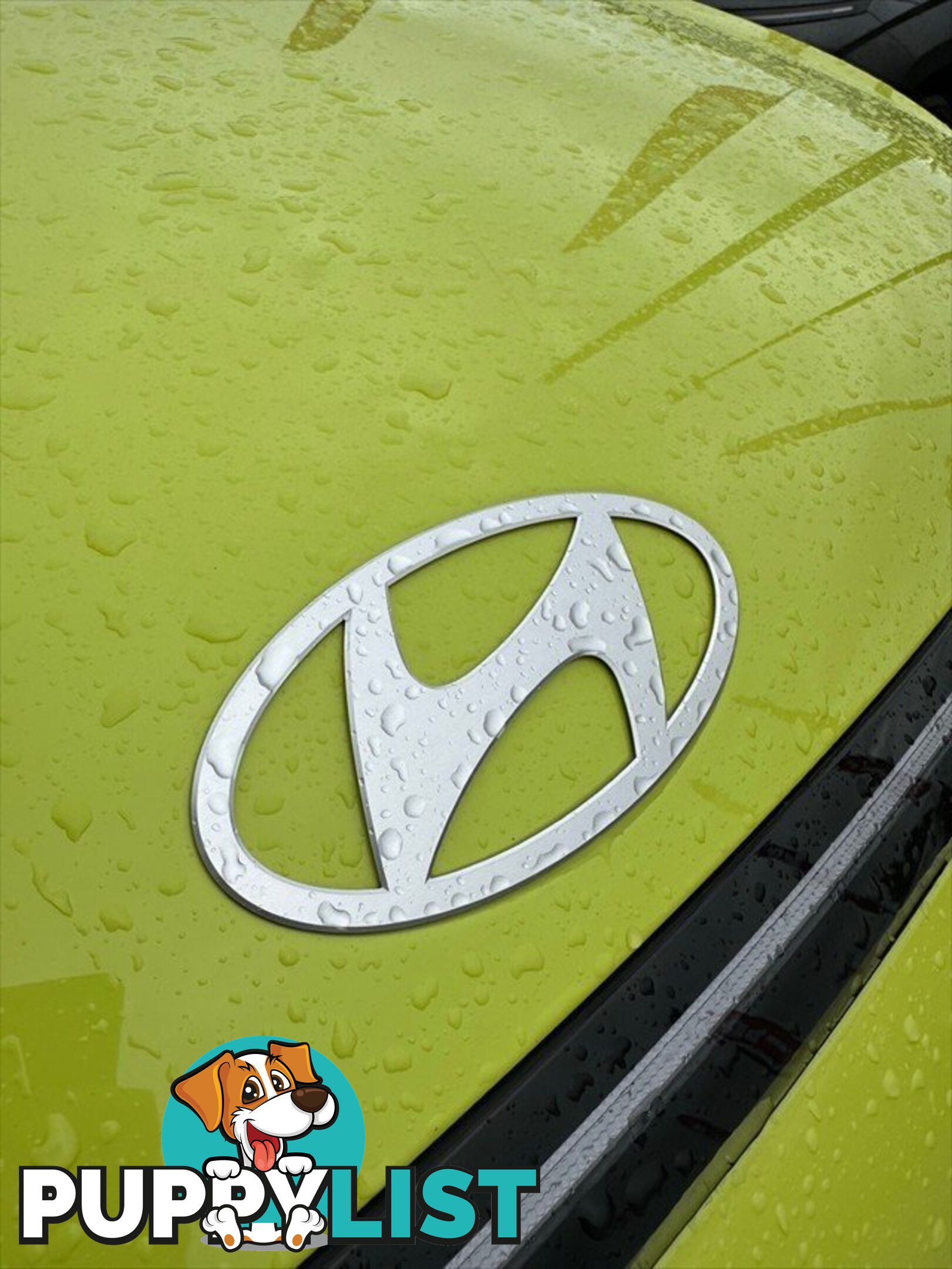 2024 HYUNDAI KONA PREMIUM N LINE SX2.V2 MY25 SUV