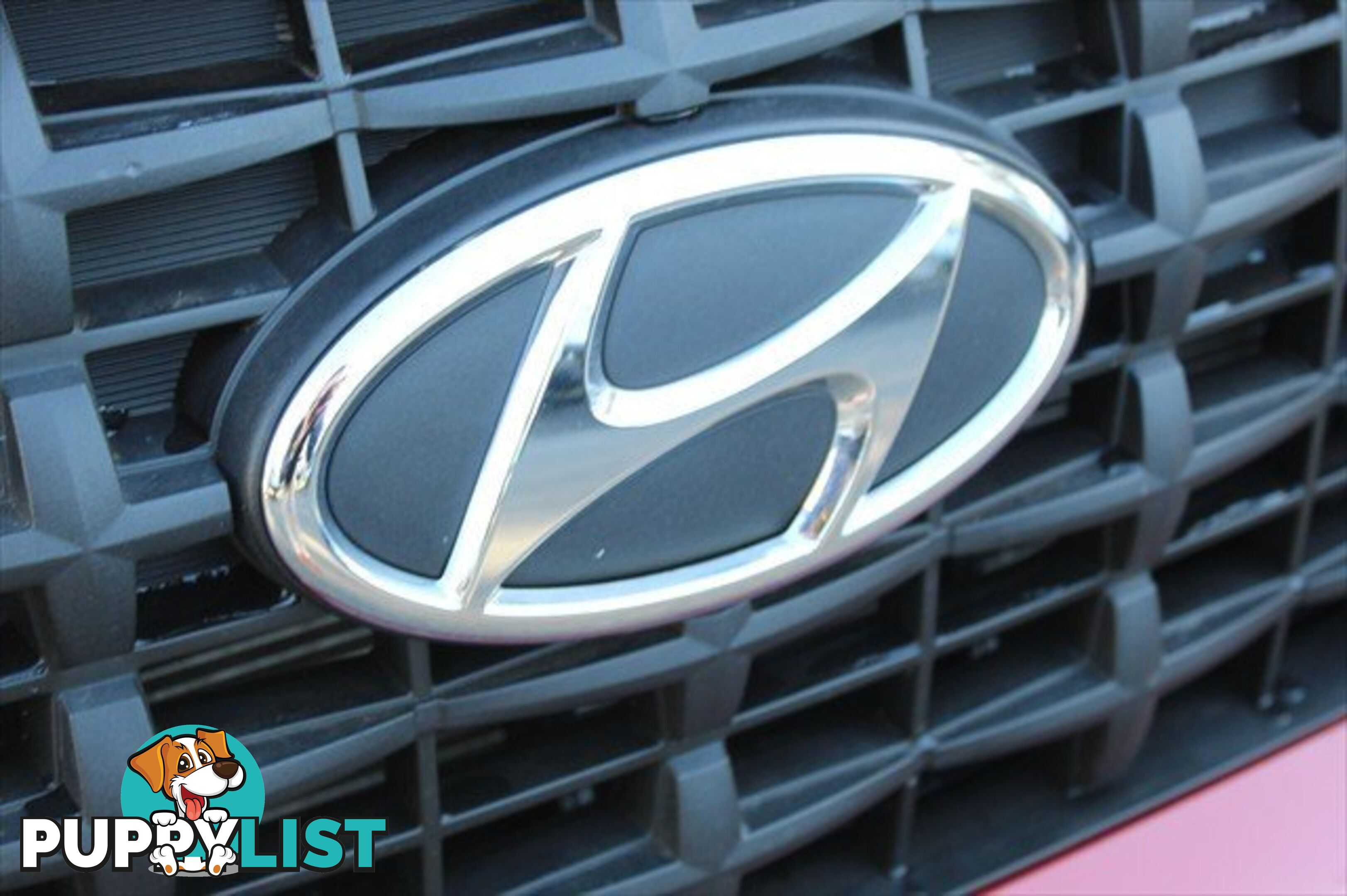 2023 HYUNDAI VENUE ACTIVE QX.V5 MY24 SUV