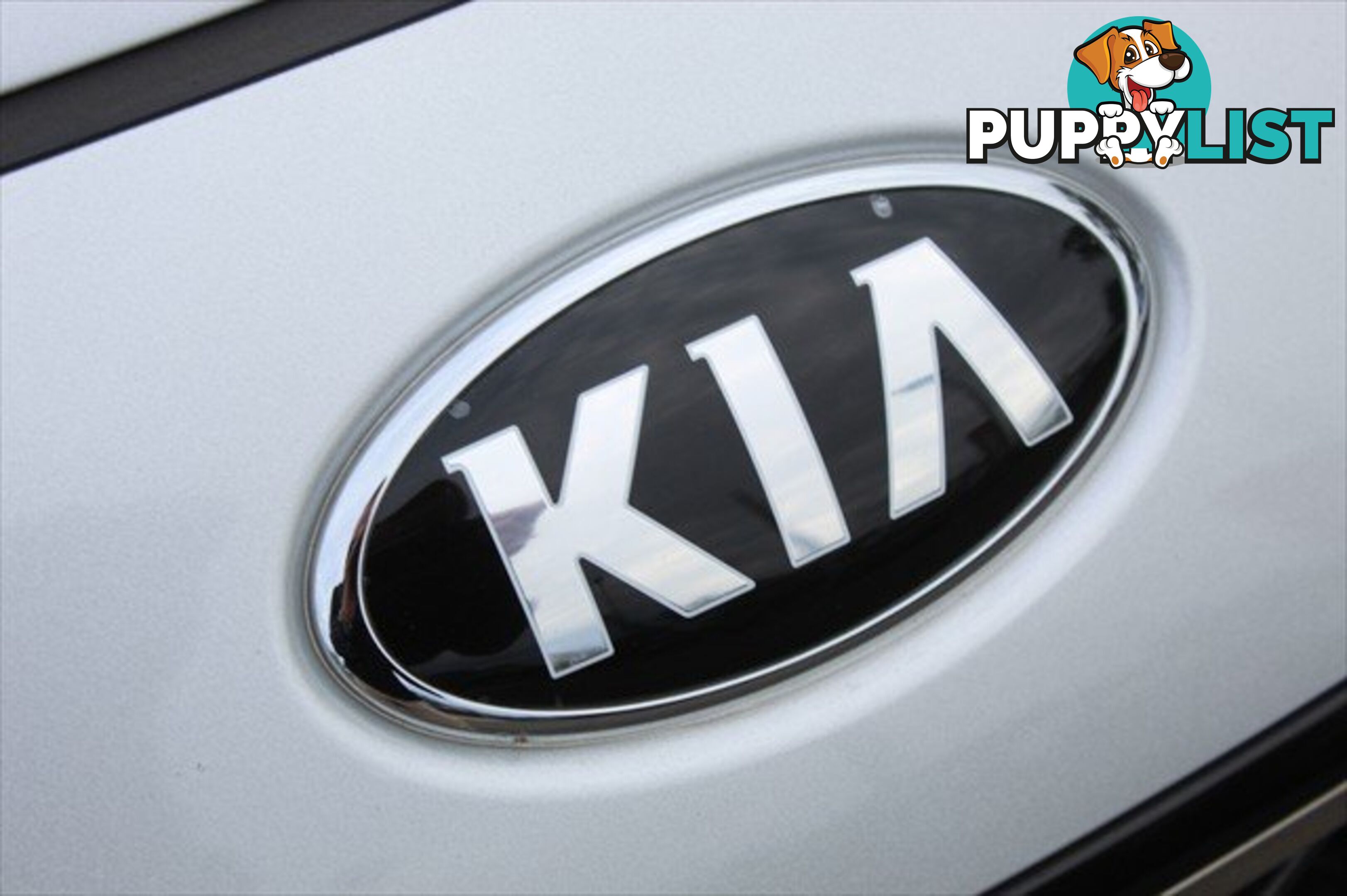 2019 KIA SPORTAGE SI QL MY19 SUV