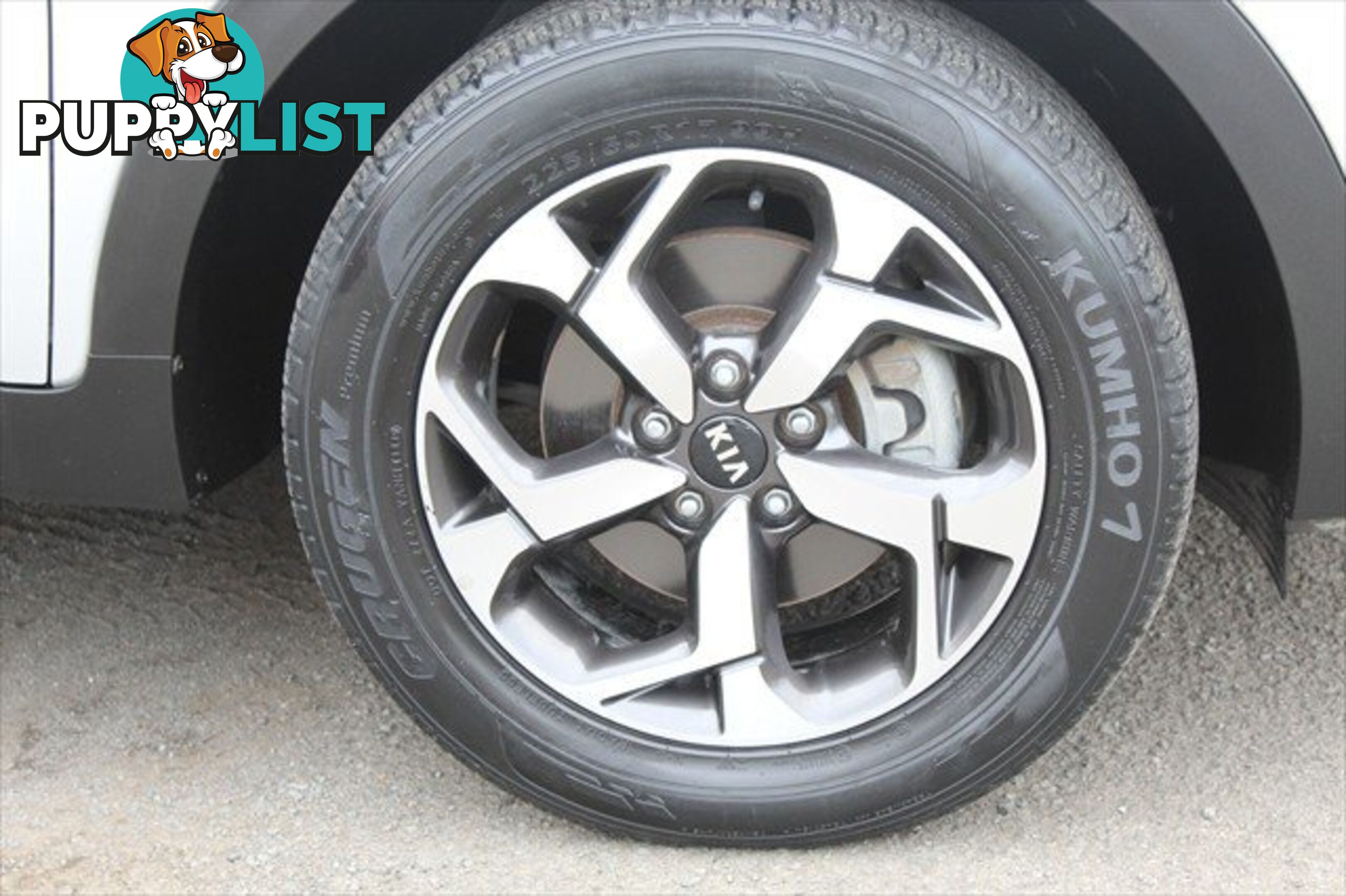2019 KIA SPORTAGE SI QL MY19 SUV