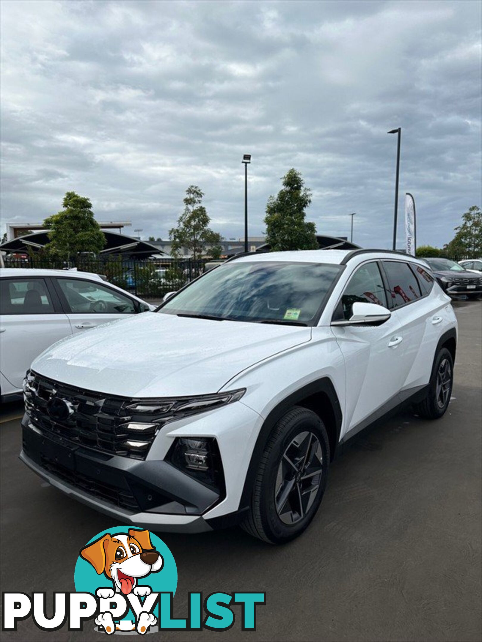 2024 HYUNDAI TUCSON ELITE NX4.V3 MY25 SUV