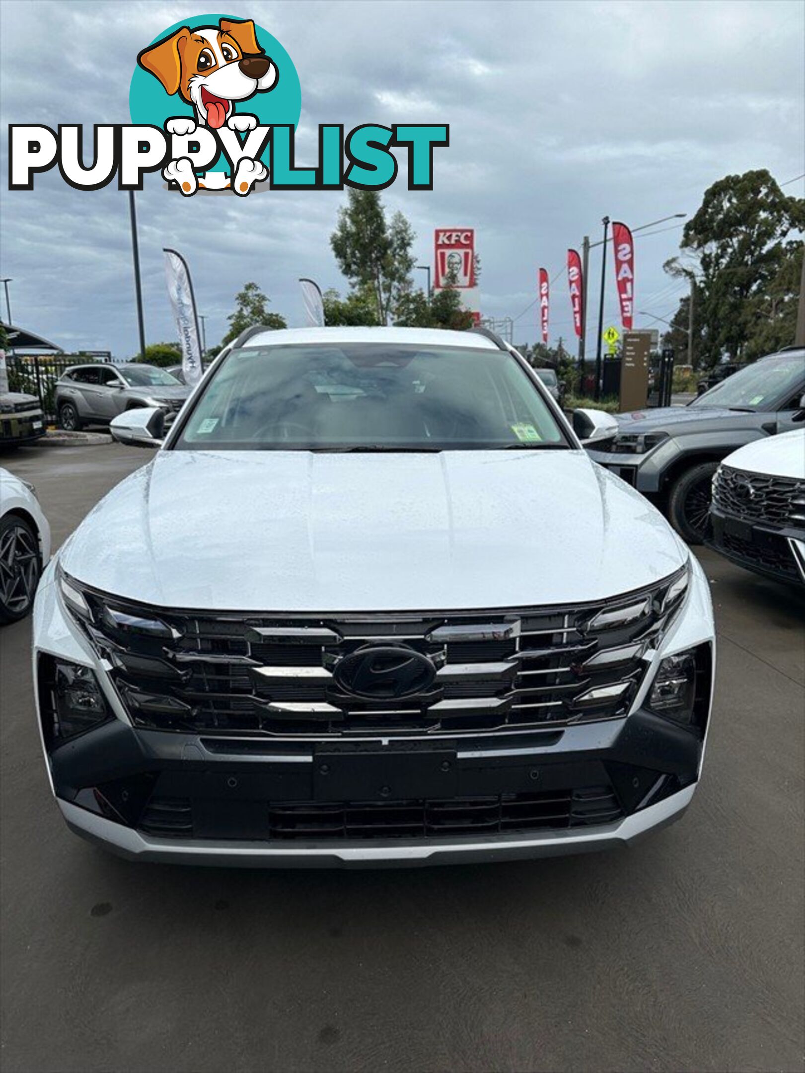 2024 HYUNDAI TUCSON ELITE NX4.V3 MY25 SUV