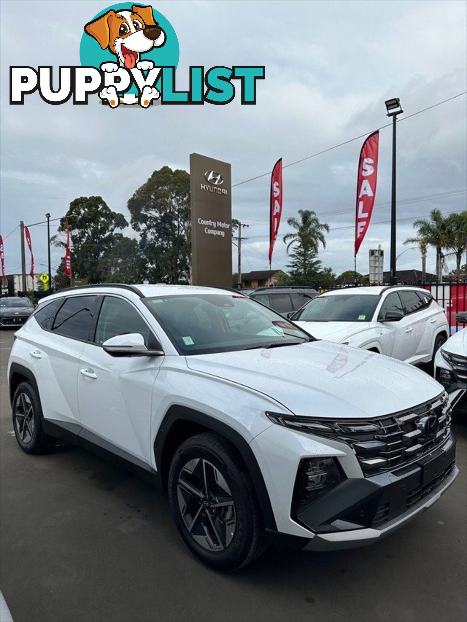2024 HYUNDAI TUCSON ELITE NX4.V3 MY25 SUV
