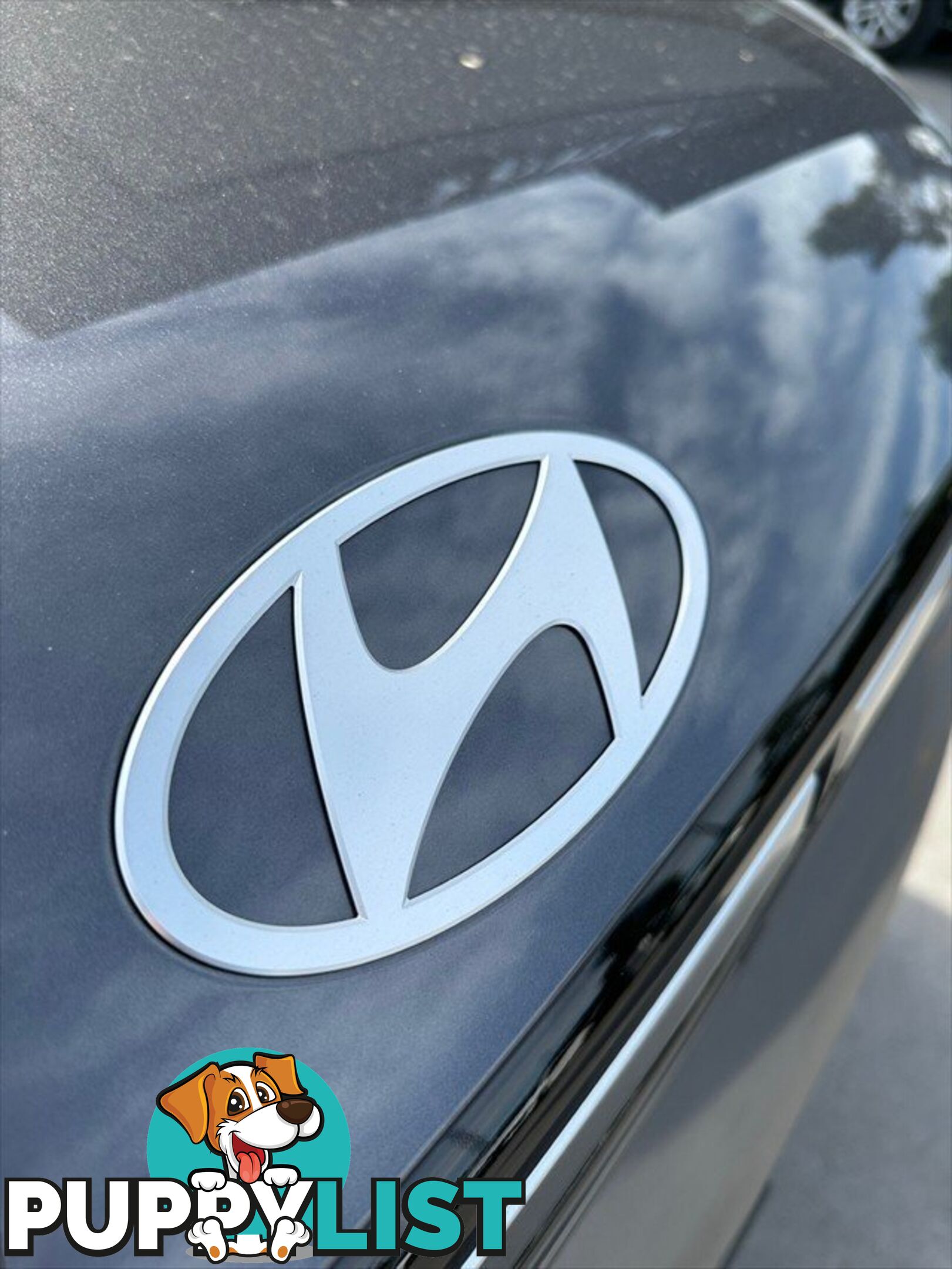 2024 HYUNDAI SANTA FE HYBRID MX5.V1 MY25 AWD SUV