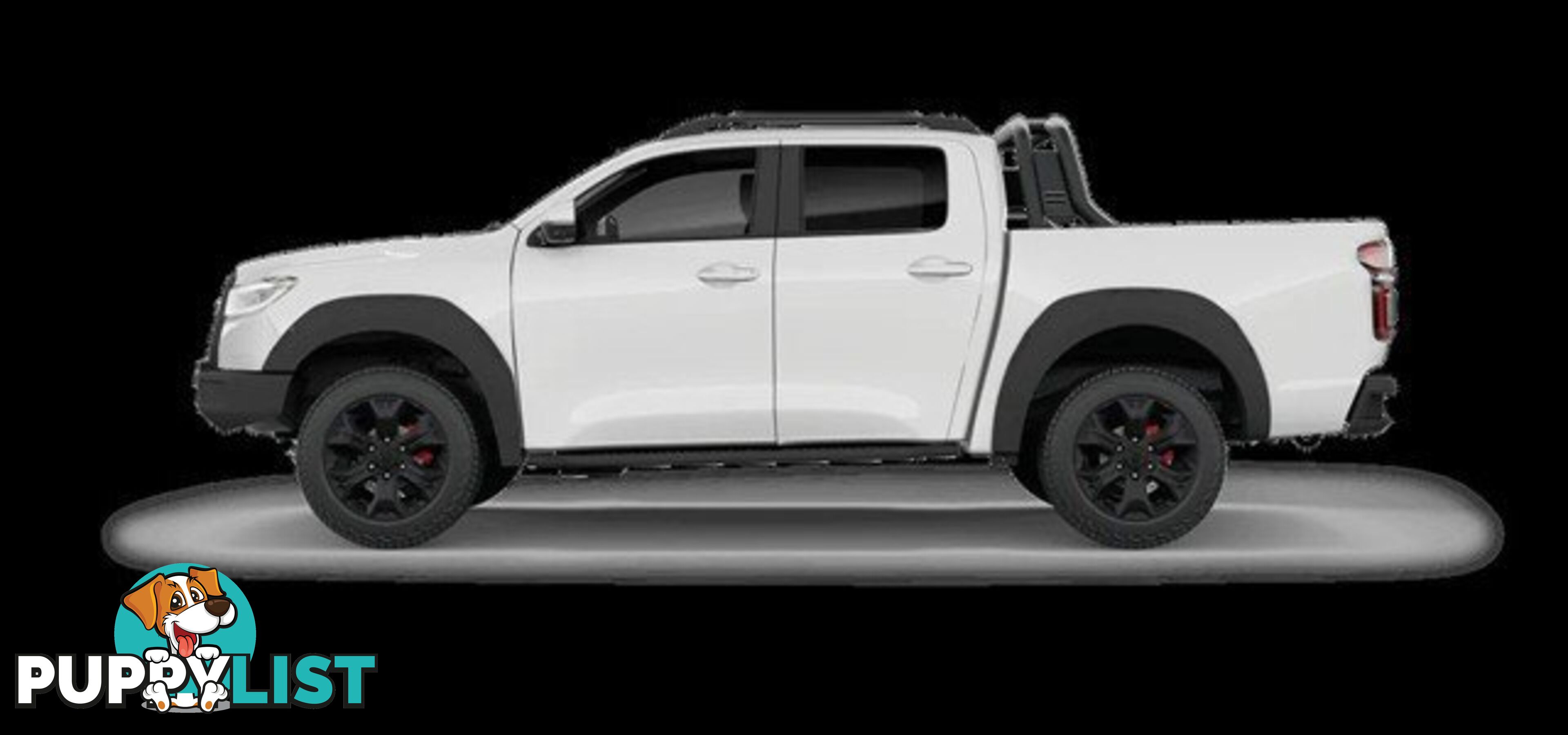 2025 GWM CANNON XSR NPW 4X4 UTILITY - DUAL CAB