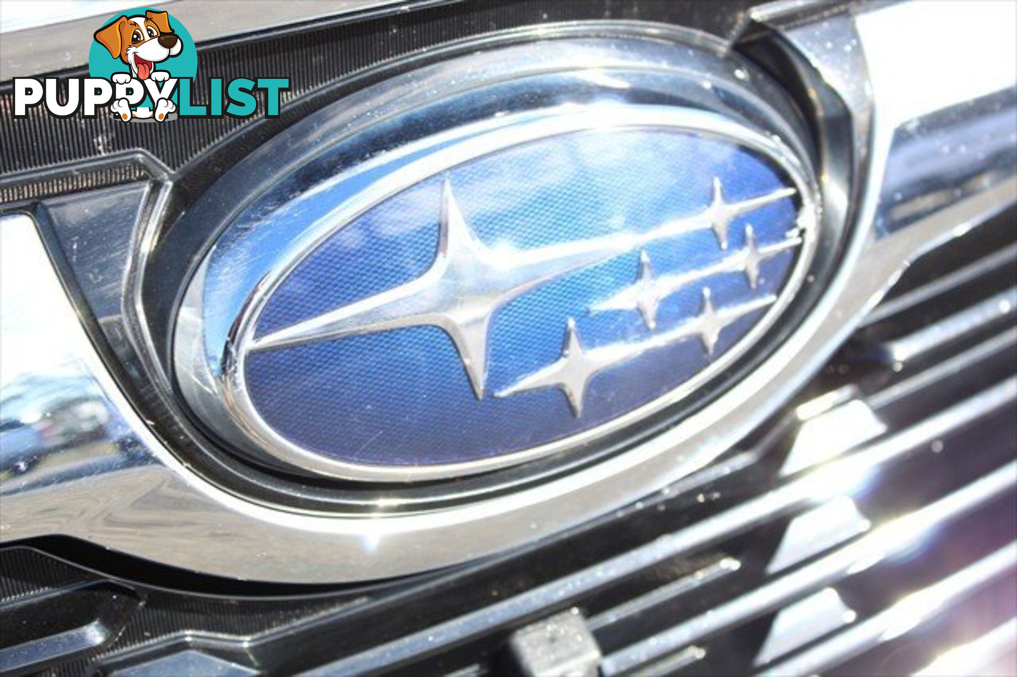 2021 SUBARU FORESTER 2.5I-S S5 MY21 AWD SUV