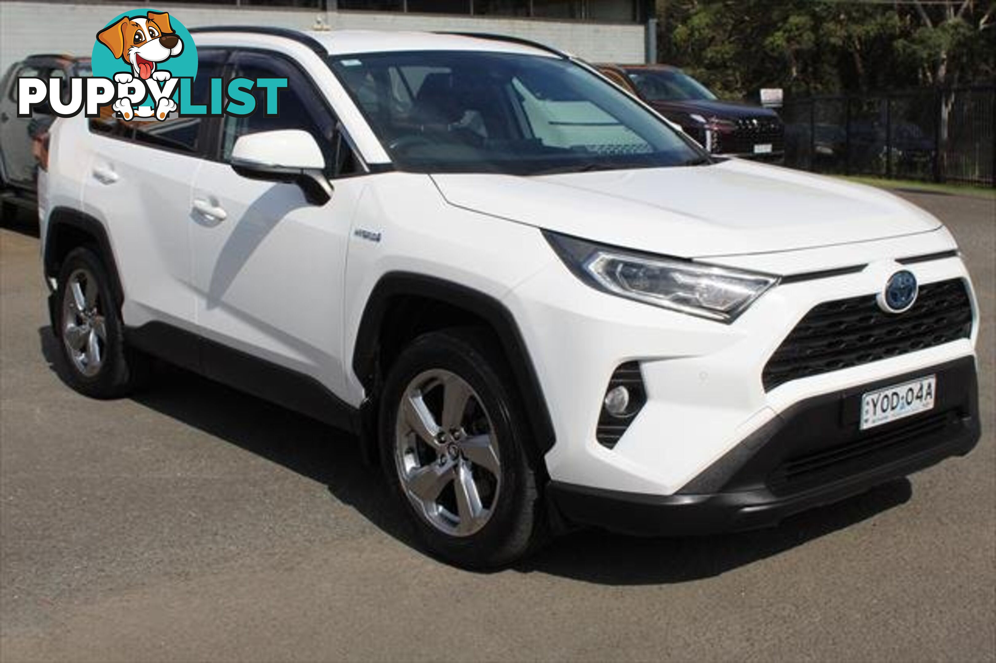 2019 TOYOTA RAV4 GXL AXAH54R 4X4 ON DEMAND SUV