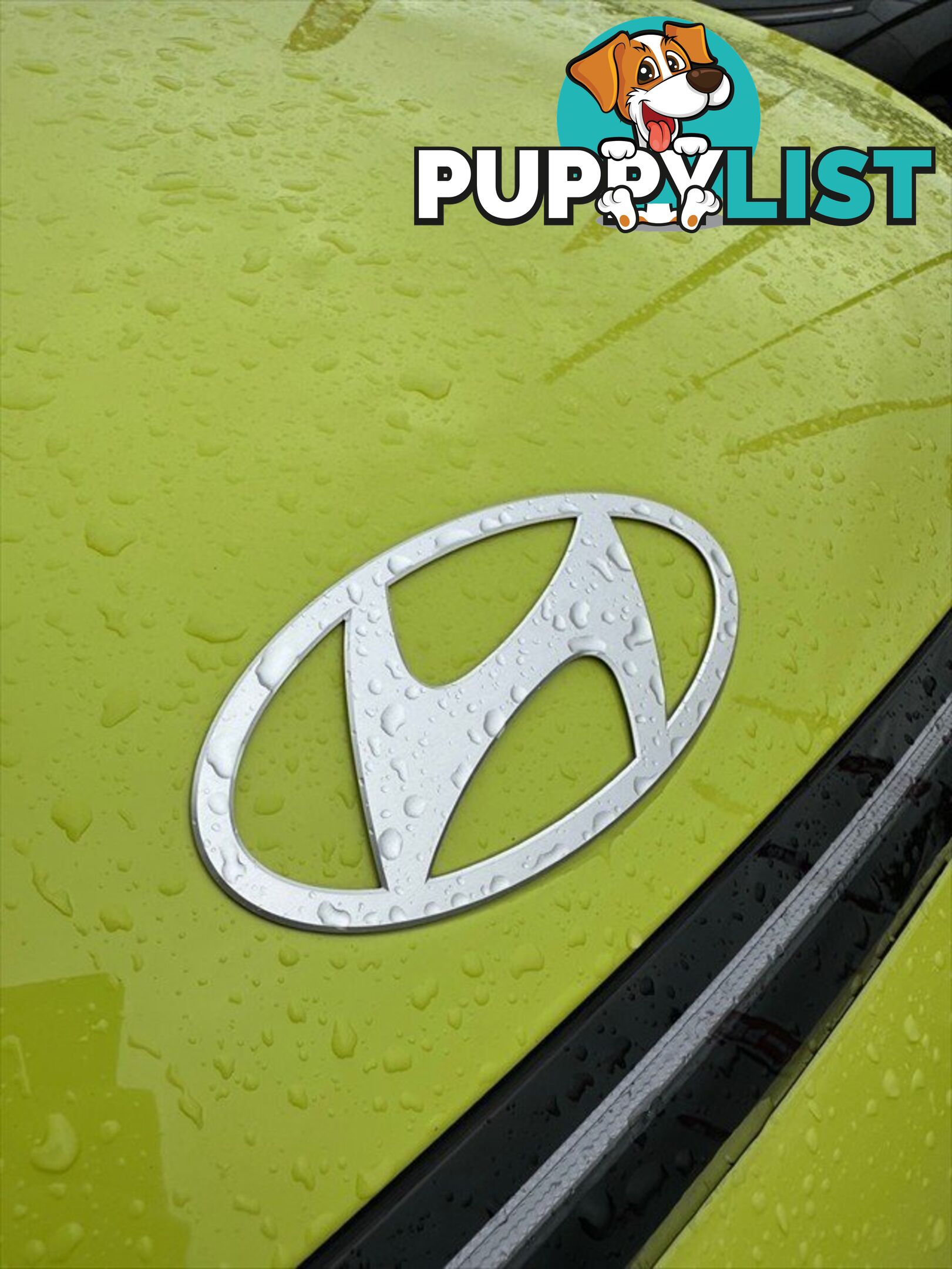 2024 HYUNDAI KONA PREMIUM N LINE SX2.V2 MY25 SUV