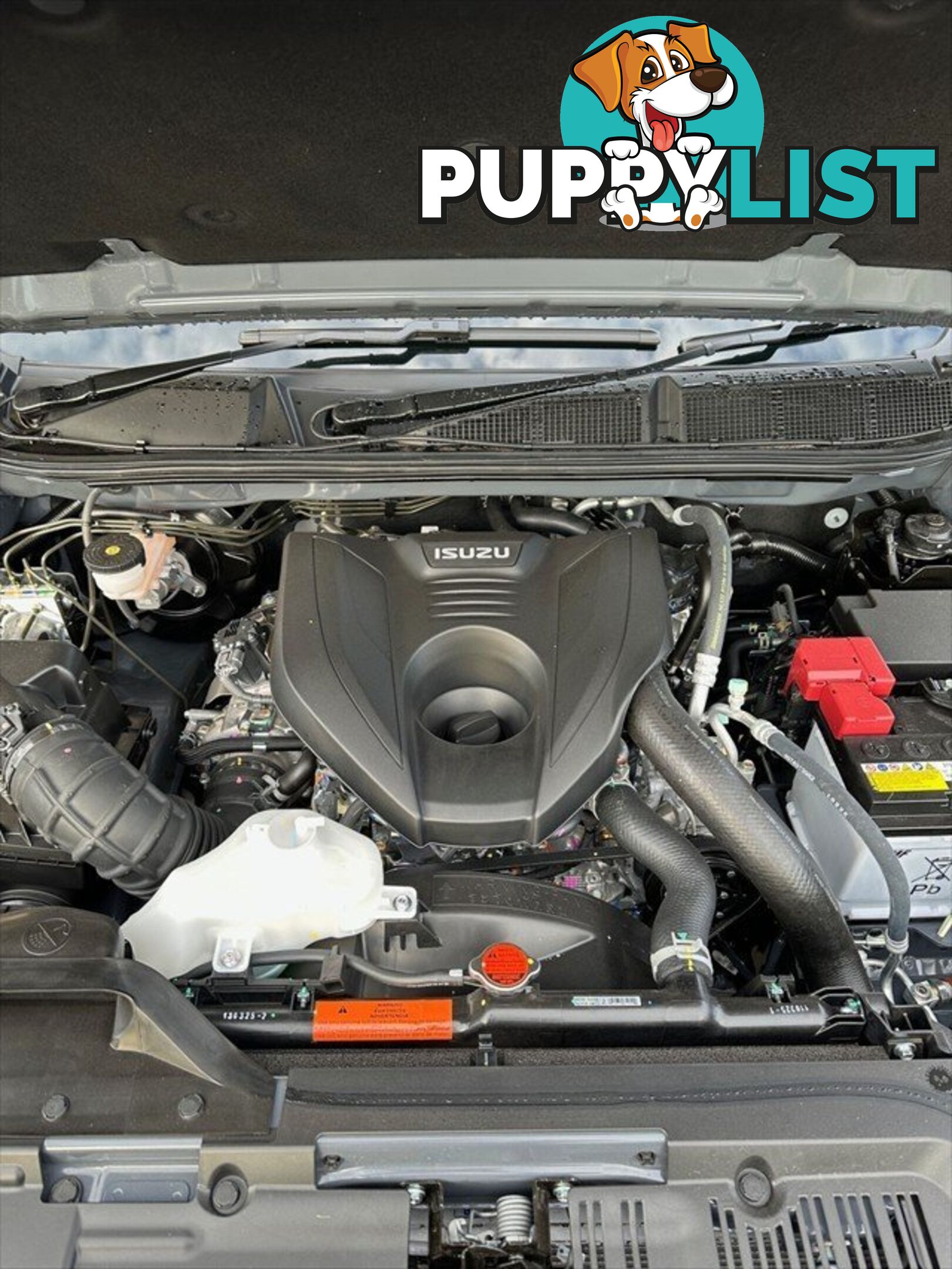 2025 ISUZU D-MAX LS-U MY24 4X4 DUAL RANGE CAB CHASSIS - DUAL CAB