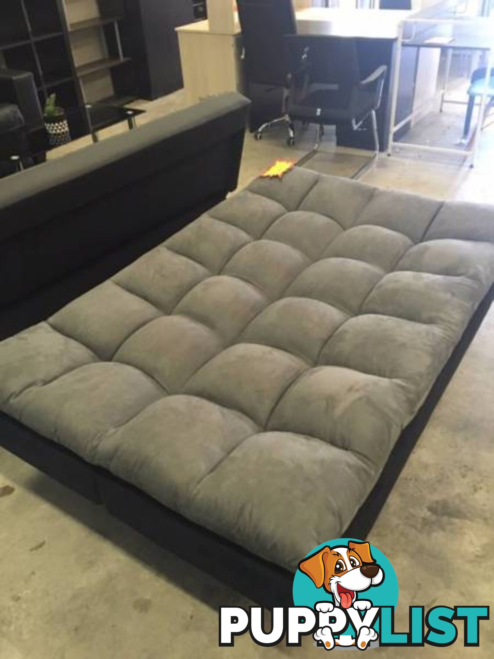 Brand New Grey Fabric Sofa Bed Couch Loung (SA084)