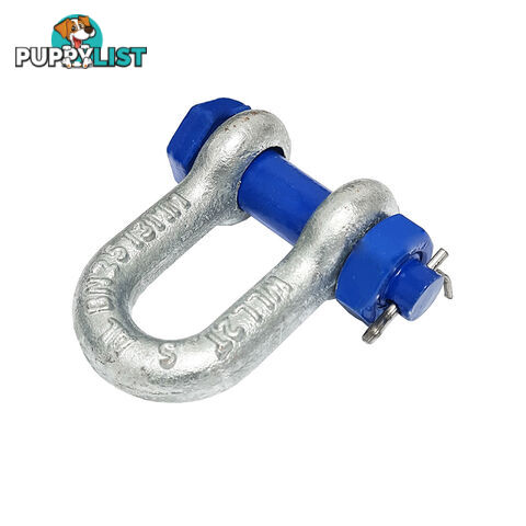 D SHACKLE SAFETY GALVANISED RATED DSRSG