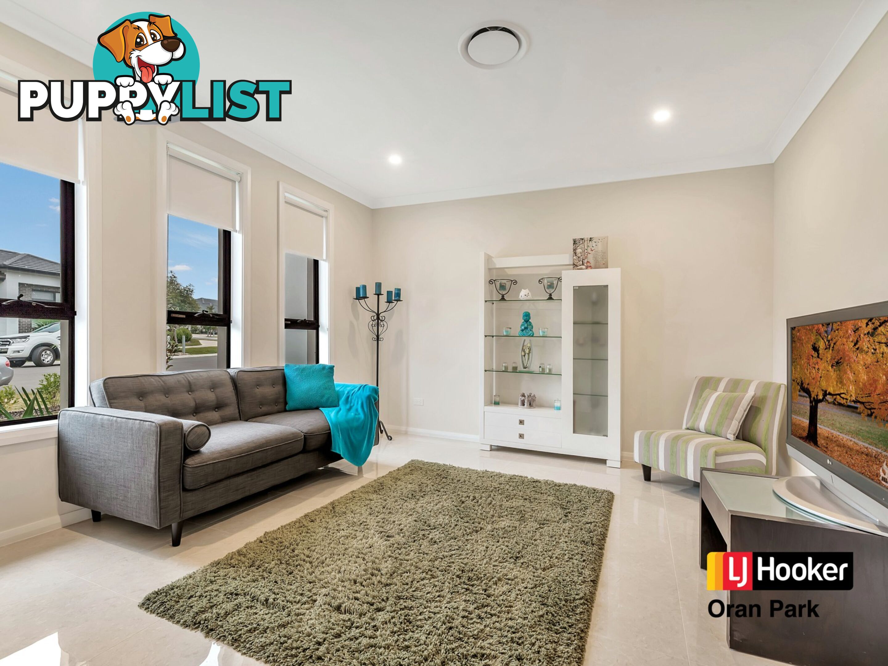 4 Allison Circuit ORAN PARK NSW 2570