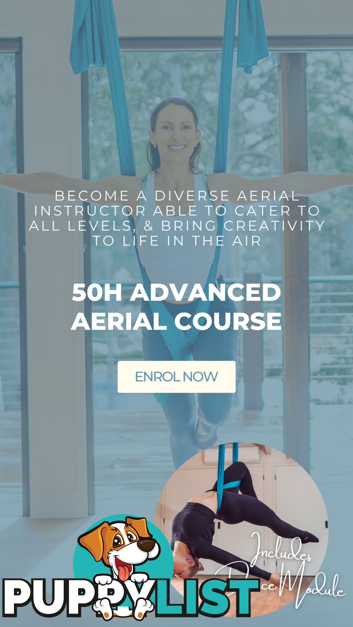 Thriving Aerial Yoga Teacher Training Business - Online and In-person Delivery Model