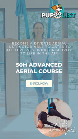 Thriving Aerial Yoga Teacher Training Business - Online and In-person Delivery Model