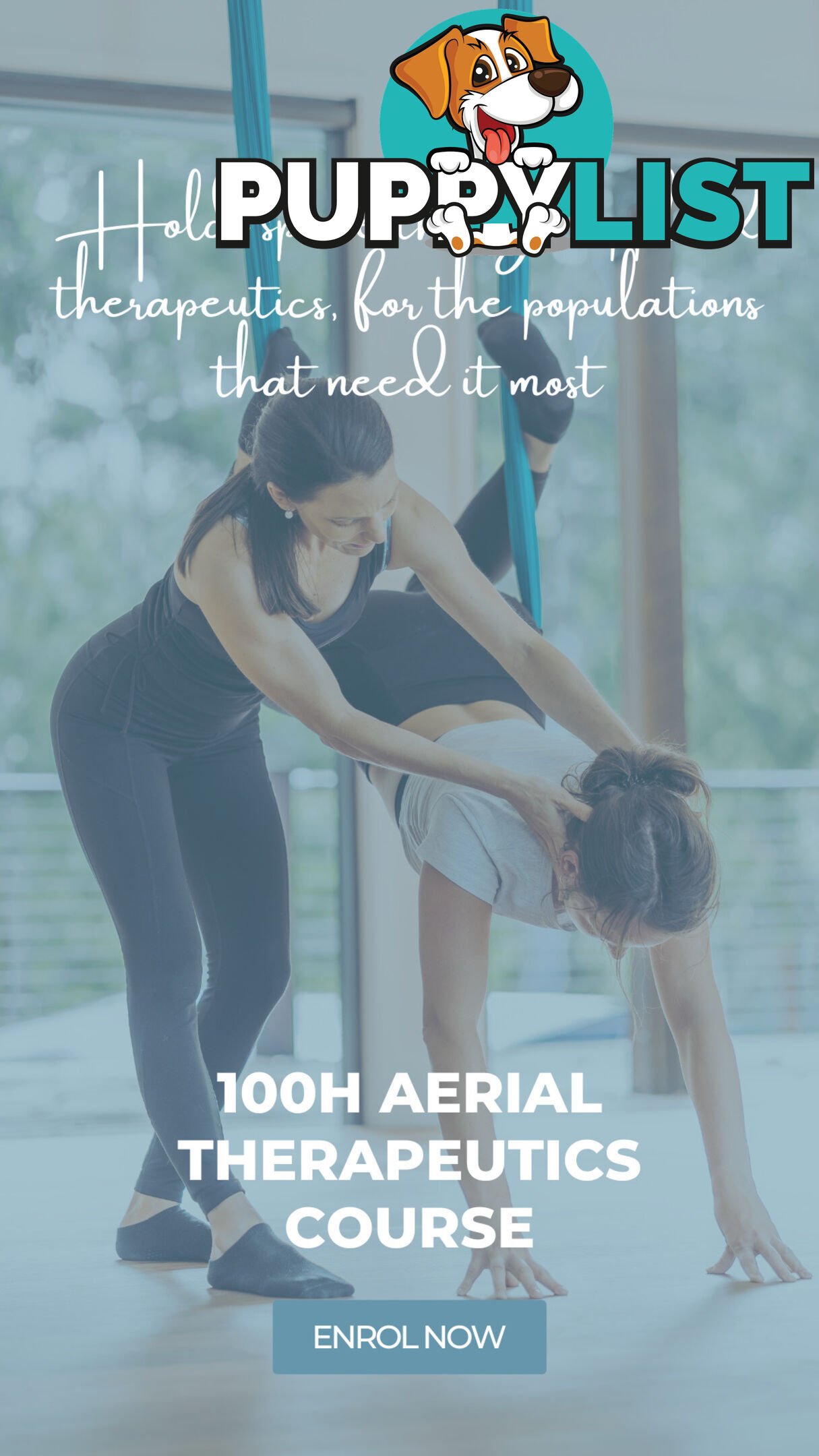 Thriving Aerial Yoga Teacher Training Business - Online and In-person Delivery Model