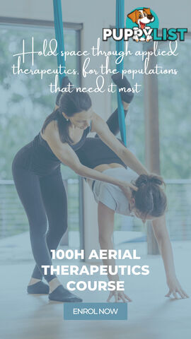 Thriving Aerial Yoga Teacher Training Business - Online and In-person Delivery Model