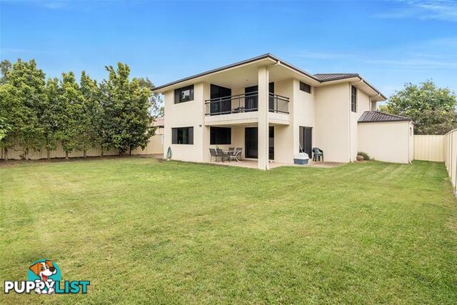 8 Rix  Drive Upper Coomera QLD 4209