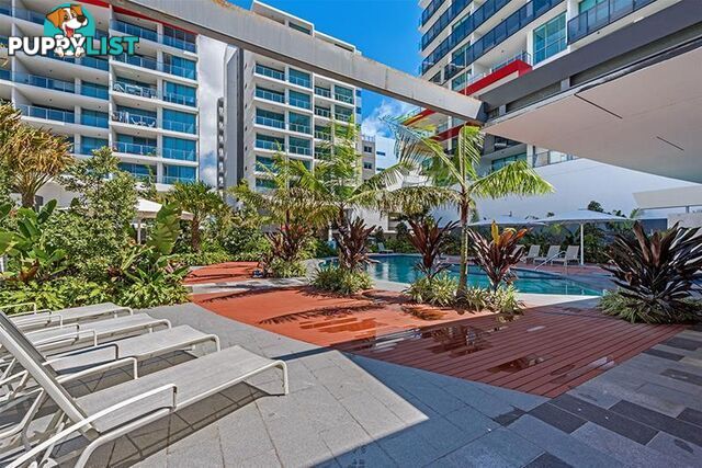 1908/25-31 East Quays Drive Biggera Waters QLD 4216