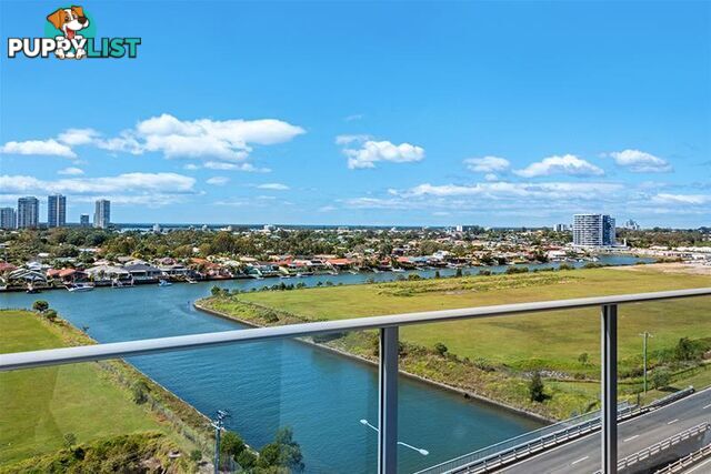 1908/25-31 East Quays Drive Biggera Waters QLD 4216