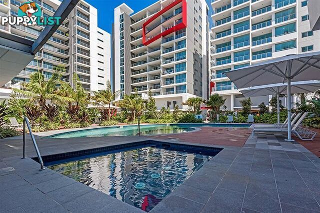 1908/25-31 East Quays Drive Biggera Waters QLD 4216