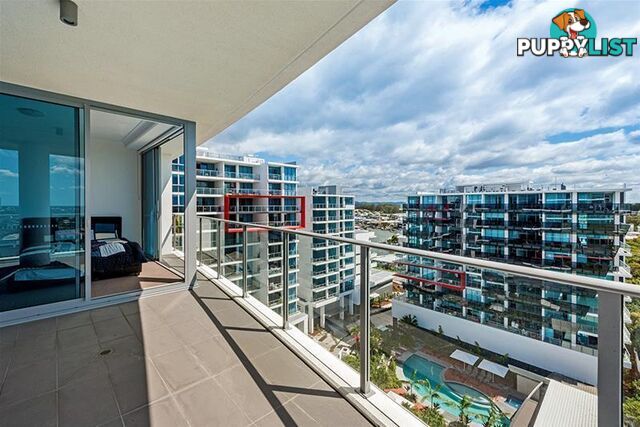 1908/25-31 East Quays Drive Biggera Waters QLD 4216