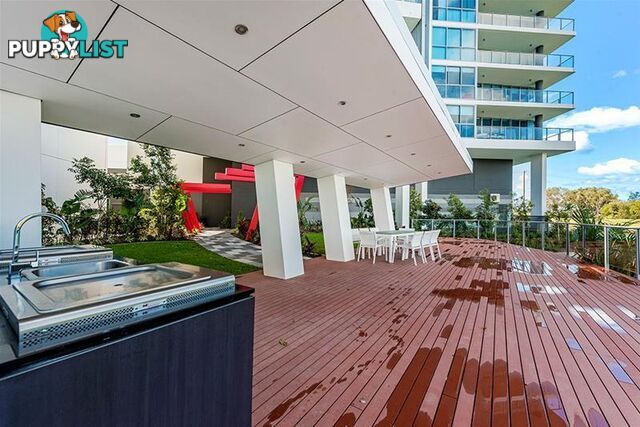 1908/25-31 East Quays Drive Biggera Waters QLD 4216