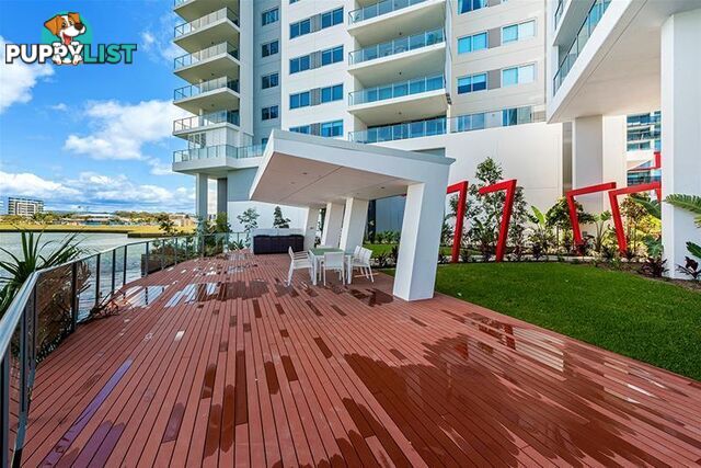 1908/25-31 East Quays Drive Biggera Waters QLD 4216