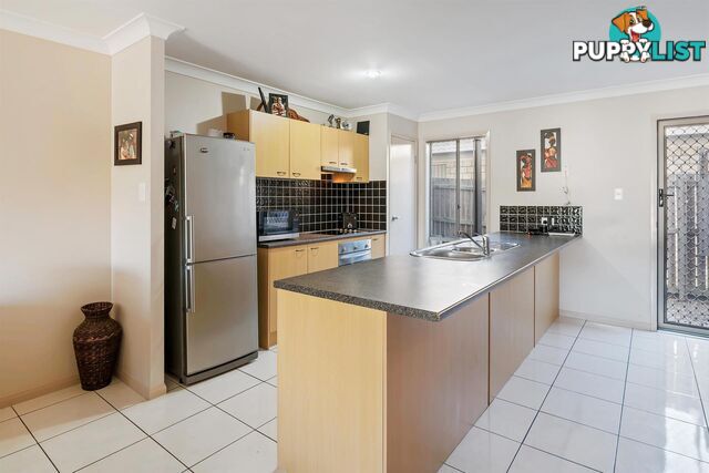 2/2 Tallon Street Upper Coomera QLD 4209