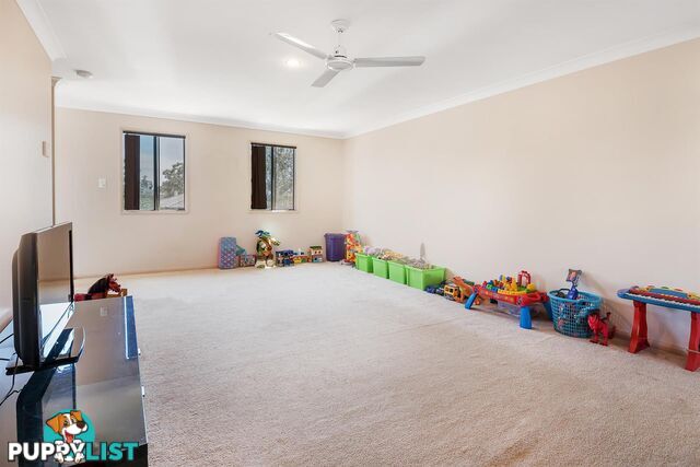 2/2 Tallon Street Upper Coomera QLD 4209