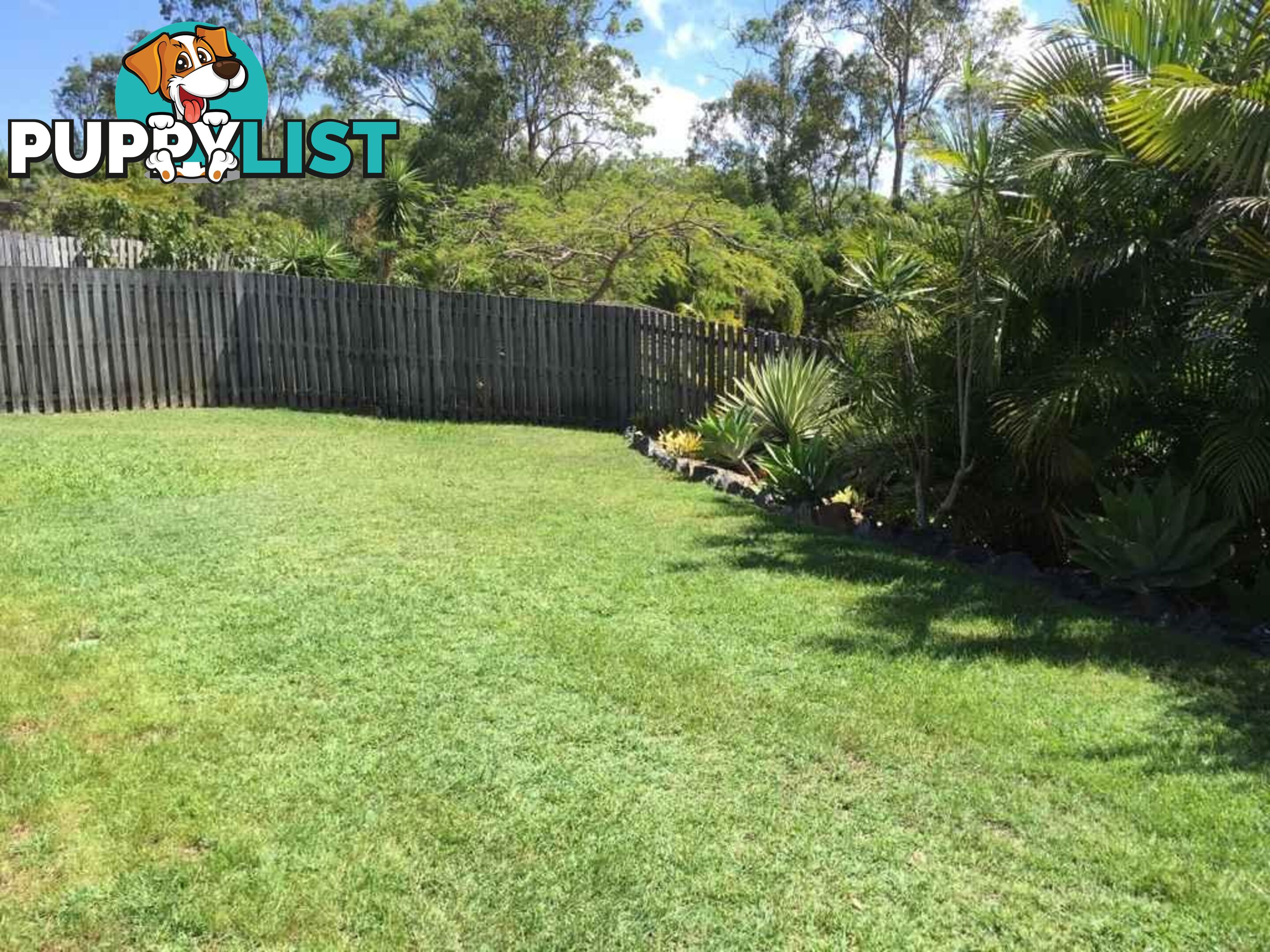 46 Oregon Way Oxenford QLD 4210