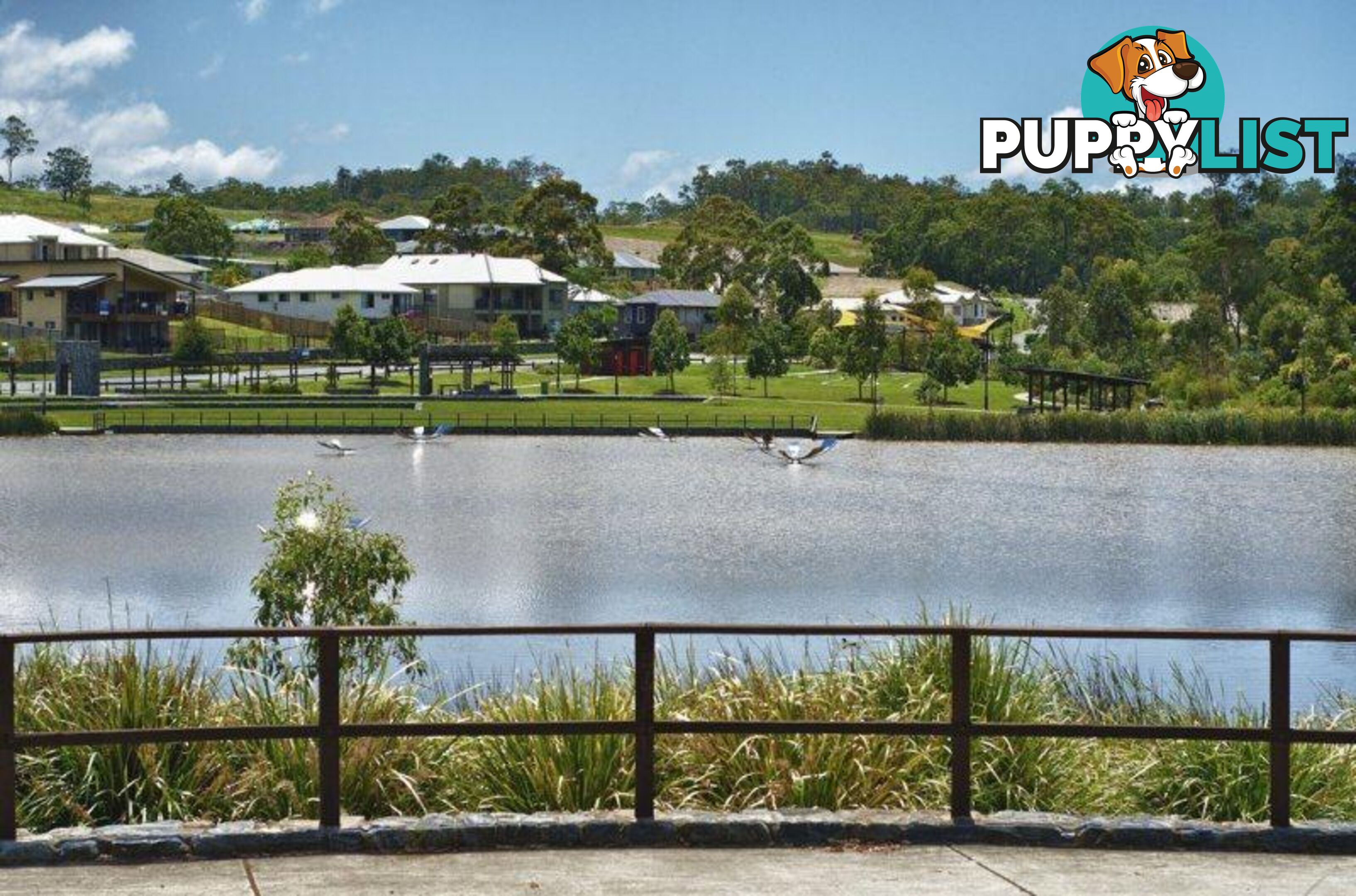 26 Lysterfield Rise Upper Coomera QLD 4209