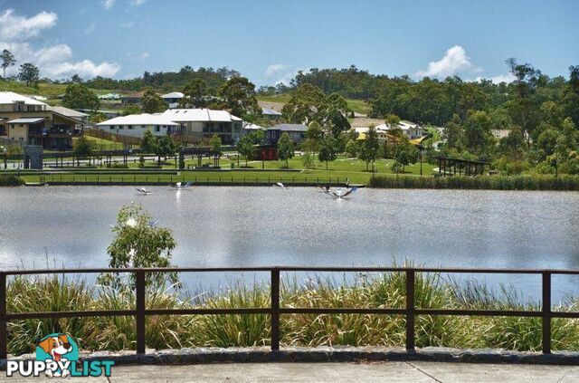 26 Lysterfield Rise Upper Coomera QLD 4209