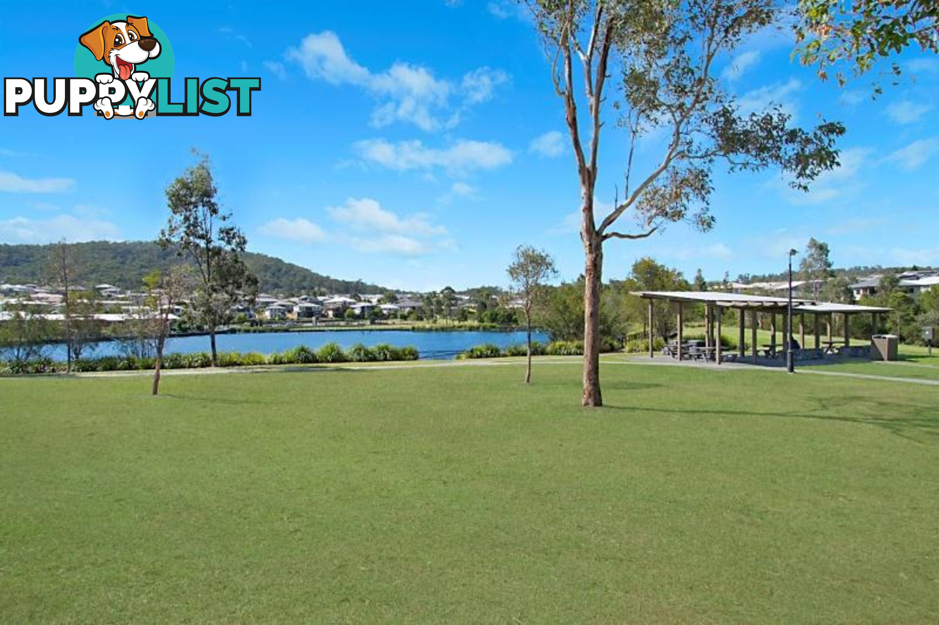 26 Lysterfield Rise Upper Coomera QLD 4209