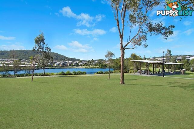 26 Lysterfield Rise Upper Coomera QLD 4209