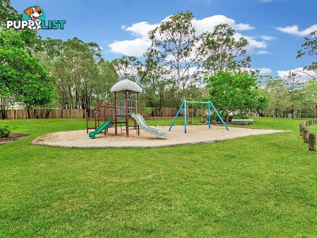 127 Ormeau Ridge Road Ormeau Hills QLD 4208